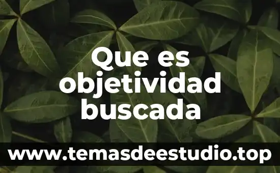 Que es objetividad buscada