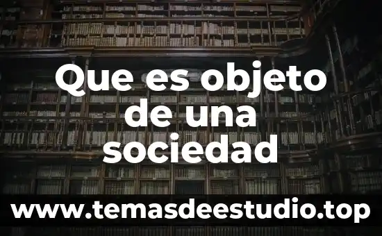 Que es objeto de una sociedad