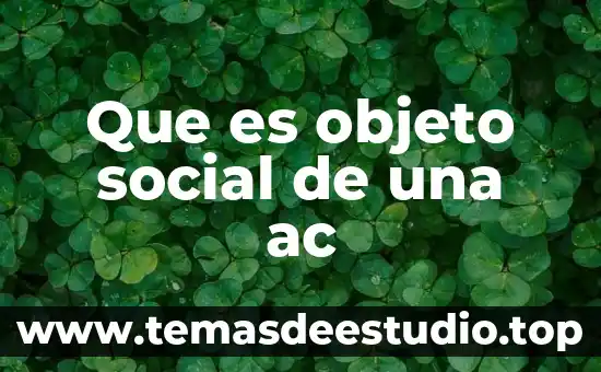 Qué es producción social concepto 3 Que es objeto social de una ac