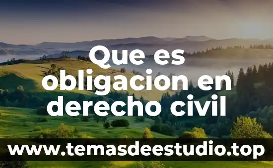 Que es la forma de la obligación 3 Que es obligacion en derecho civil