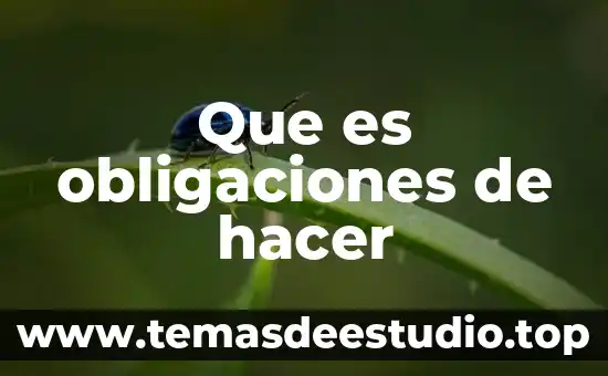 Que es lo que puedes hacer en una fiesta 5 Que es obligaciones de hacer