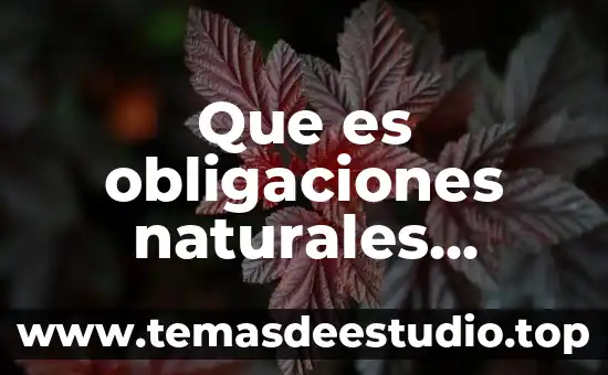 Que es obligaciones naturales derecho