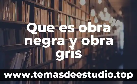 Que es mejor refrigeradores color negro o gris 3 Que es obra negra y obra gris