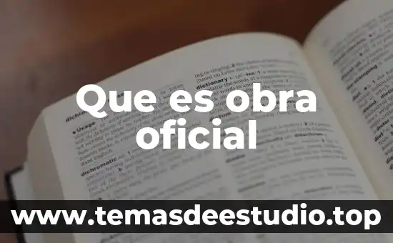 Que es el documento oficial de identidad 4 Que es obra oficial