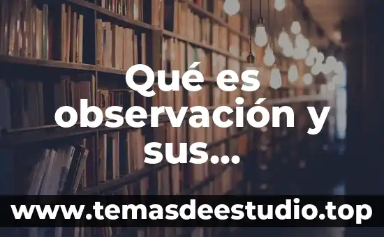 Qué es observación y sus características