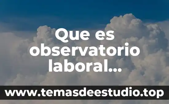 Que es un simbolo de sistema con privilegios elevados 3 Que es observatorio laboral mexicano