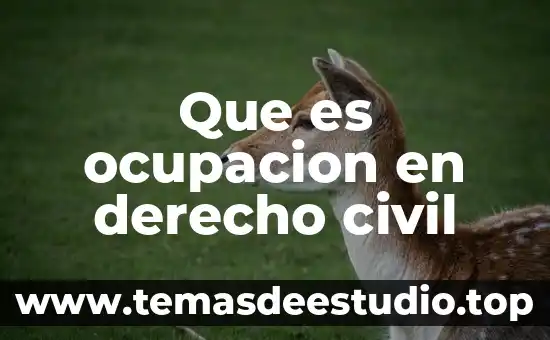 Qué es la sociedad com en informática 7 Que es ocupacion en derecho civil