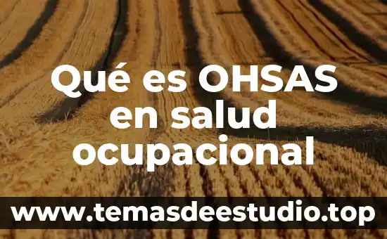 Que es argumento de la salud 8 Qué es OHSAS en salud ocupacional