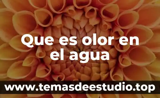 Qué es venta o traspaso de un negocio 5 Que es olor en el agua