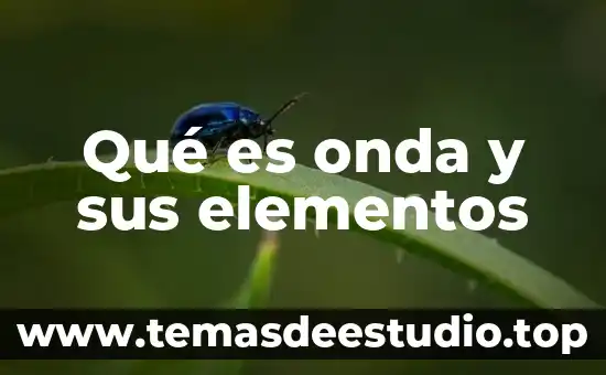 Qué es una onda radioactiva del sol 8 Qué es onda y sus elementos