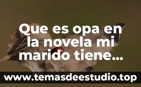 Que es opa en la novela mi marido tiene familia