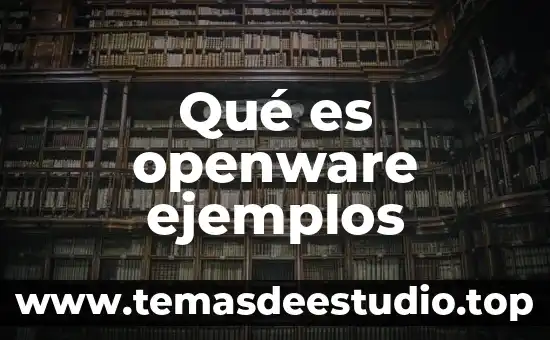 Que es un movimiento deudor en contabilidad ejemplos 4 Qué es openware ejemplos