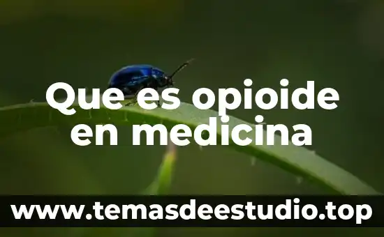 Que es parámetro en medicina 3 Que es opioide en medicina