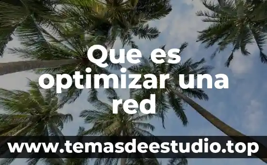 Que es red nacional del arte 5 Que es optimizar una red