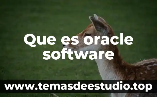 Que es oracle software