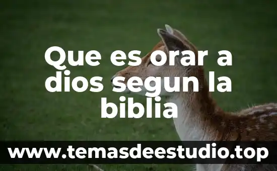 Que es orar a dios segun la biblia