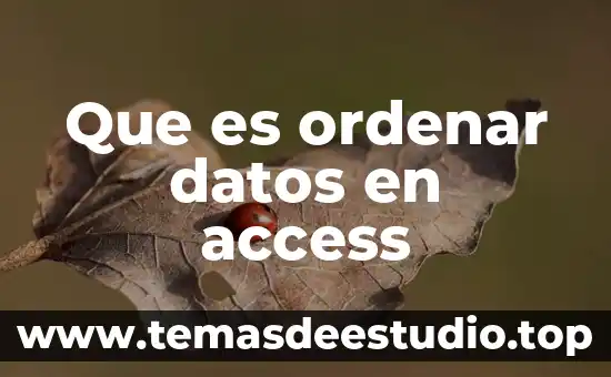 Qué es una base de datos centralizada en access 3 Que es ordenar datos en access