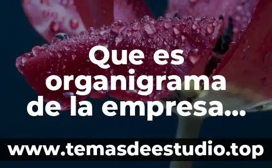 Que es conocimiento en una empresa 6 Que es organigrama de la empresa fanny desarrollo de software