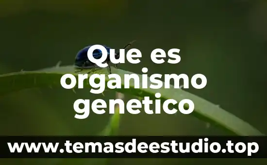 Que es el diseño de genético de bebés 3 Que es organismo genetico