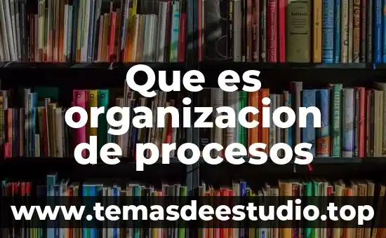 Que es organizacion de procesos