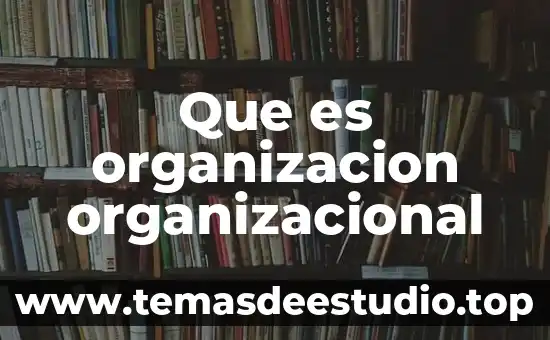 Que es organizacion organizacional
