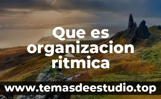 Conclusión de que es la publicidad 3 Que es organizacion ritmica