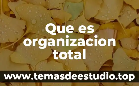 Que es la organizacion cepal 5 Que es organizacion total