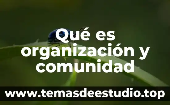 Qué es organización y comunidad