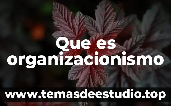 Que es organizacionismo