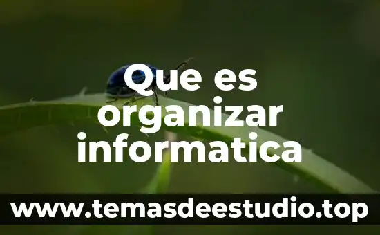 Que es la pieza figurillas del museo nacional de antropología 6 Que es organizar informatica