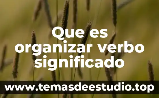 Qué es ingenio significado etimológico 3 Que es organizar verbo significado