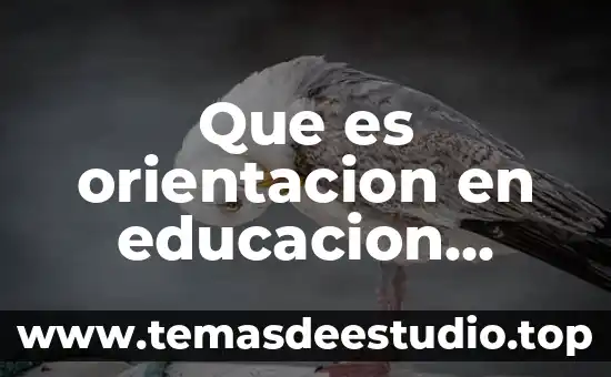 Que es orientacion en educacion fisica uvicacion especifica