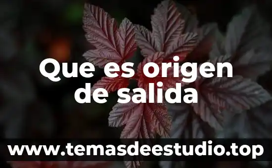 Que es origen de salida