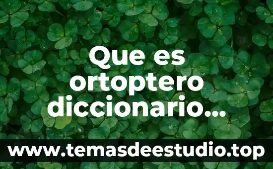 Que es investigacion aplicada segun el autor 6 Que es ortoptero diccionario griego