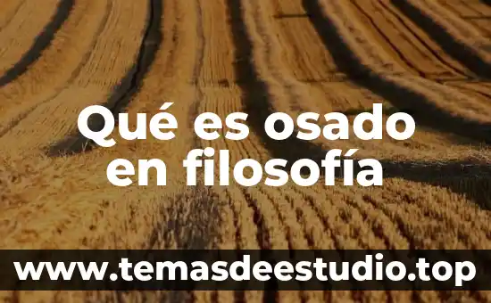 Que es estoicismo en filosofia ejemplos 7 Qué es osado en filosofía