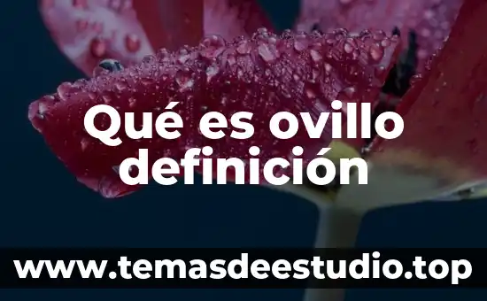 Qué es epicanto definición 4 Qué es ovillo definición