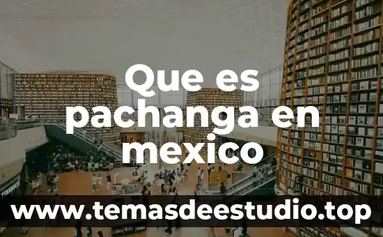 Que es la sociedad multicultural en mexico 6 Que es pachanga en mexico