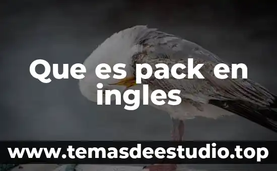 Problemas en el idioma inglés que es 3 Que es pack en ingles