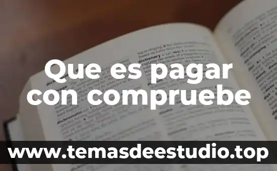 Que es pagar con compruebe