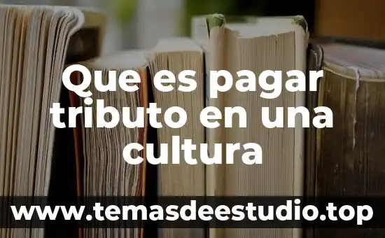Que es pagar tributo en una cultura