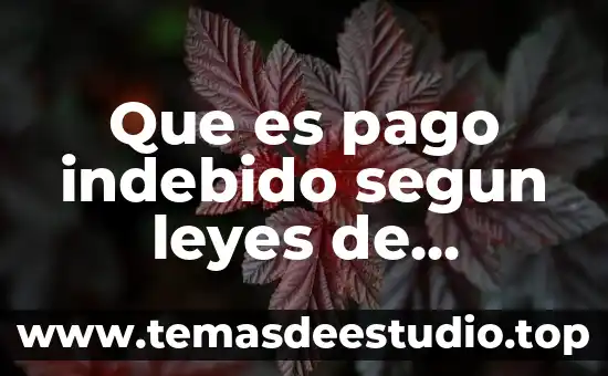 Que es pago indebido segun leyes de mexico