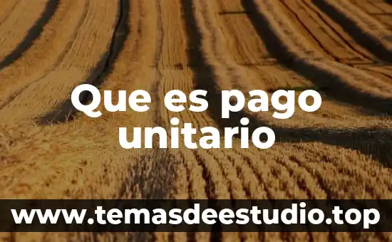 Que es el ser humano teorias 8 Que es pago unitario
