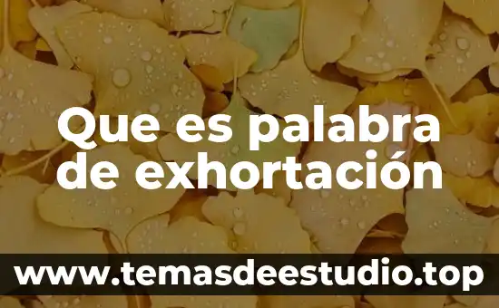 Que es significado etimológico de la palabra biblia 6 Que es palabra de exhortación