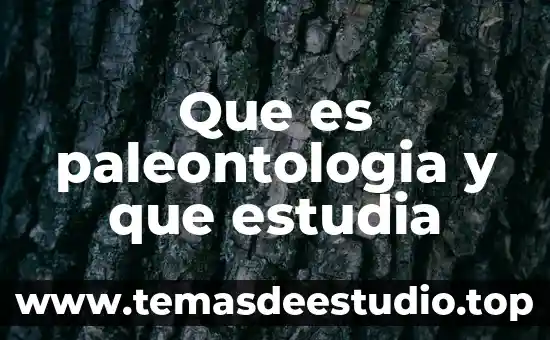 Abstracción verbal que es 3 Que es paleontologia y que estudia