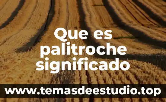 Que es halloween significado 3 Que es palitroche significado