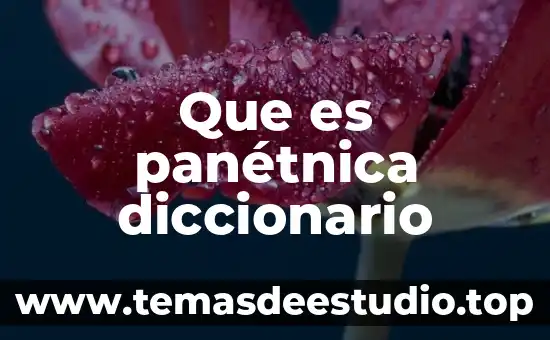 Que es panétnica diccionario