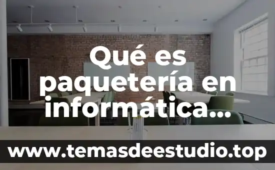 Qué es paquetería en informática concepto