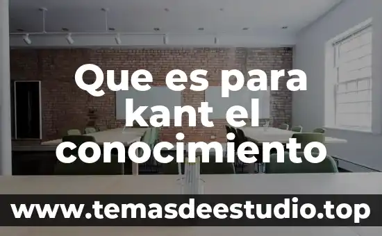 Que es el modo loop 5 Que es para kant el conocimiento