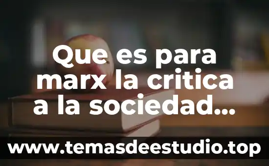 Que es para marx la critica a la sociedad capitalista