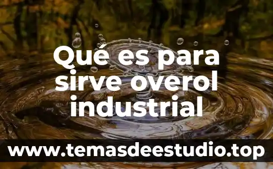 Que es un proceso industrial y artesanal en el arte 3 Qué es para sirve overol industrial
